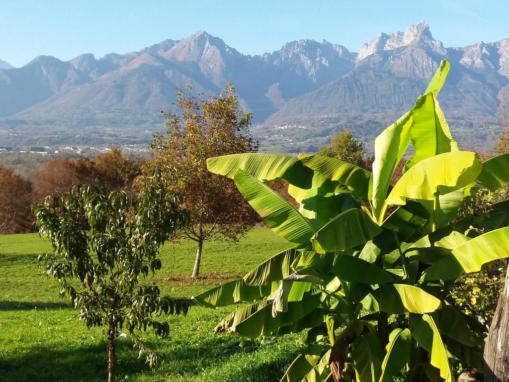 Panorama Dolomiti